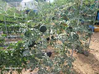 정창훈님의 자유주제 · 자유게시판 작성글 사진