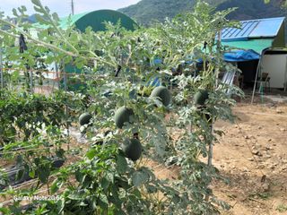 정창훈님의 자유주제 · 자유게시판 작성글 사진