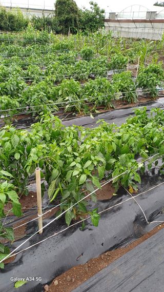 이대옥님의 자유주제 · 자유게시판 작성글 사진