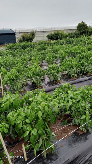 이대옥님의 자유주제 · 자유게시판 작성글 사진