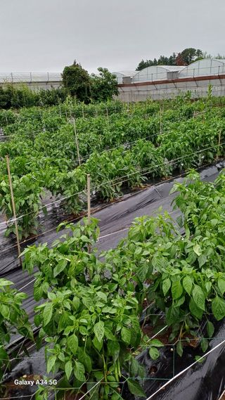 이대옥님의 자유주제 · 자유게시판 작성글 사진