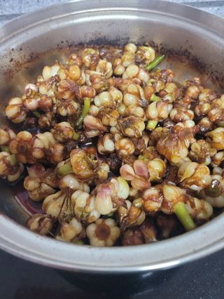 최유진님의 양파 · 영농일지 작성글 사진