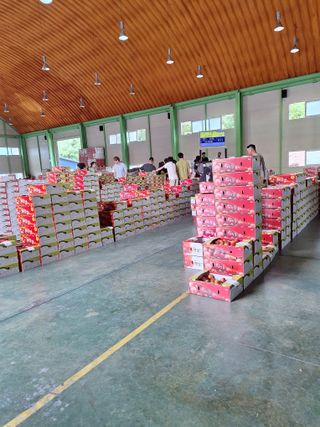 욕심내지말자님의 복숭아 · 자유게시판 작성글 사진