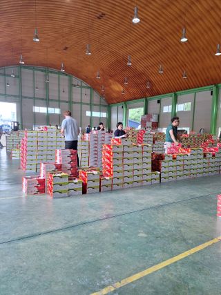 욕심내지말자님의 복숭아 · 자유게시판 작성글 사진