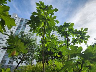 다야님의 자유주제 · 자유게시판 작성글 사진
