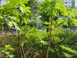 다야님의 자유주제 · 자유게시판 작성글 사진