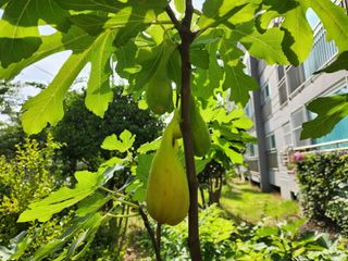 다야님의 자유주제 · 자유게시판 작성글 사진