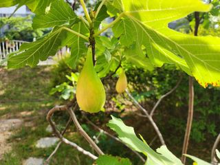 다야님의 자유주제 · 자유게시판 작성글 사진