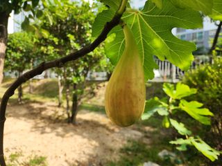 다야님의 자유주제 · 자유게시판 작성글 사진