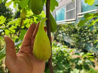 다야님의 자유주제 · 자유게시판 작성글 사진