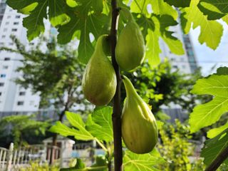 다야님의 자유주제 · 자유게시판 작성글 사진