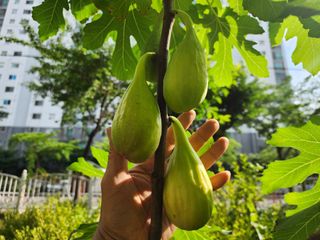 다야님의 자유주제 · 자유게시판 작성글 사진