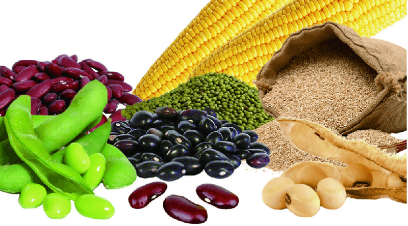 한농농약종묘사님의 장터 판매 상품 [콩,참깨,들깨,땅콩 커지게해주는 영양제] 첨부 사진