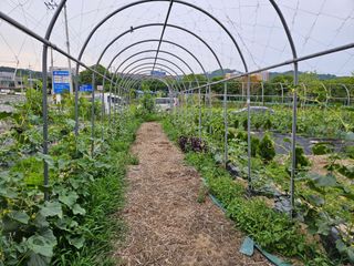 남옥선님의 자유주제 · 자유게시판 작성글 사진