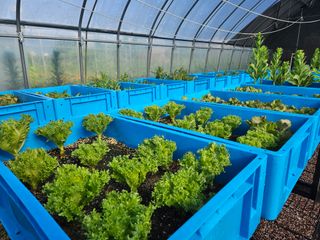 남옥선님의 자유주제 · 자유게시판 작성글 사진