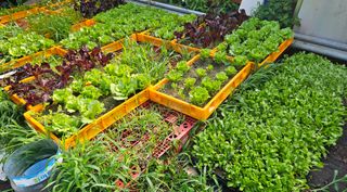 남옥선님의 자유주제 · 자유게시판 작성글 사진