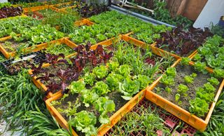 남옥선님의 자유주제 · 자유게시판 작성글 사진