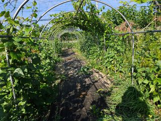 남옥선님의 자유주제 · 자유게시판 작성글 사진