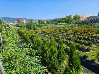 남옥선님의 자유주제 · 자유게시판 작성글 사진