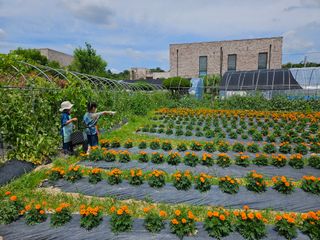 남옥선님의 자유주제 · 자유게시판 작성글 사진