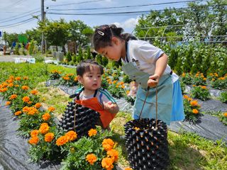 남옥선님의 자유주제 · 자유게시판 작성글 사진