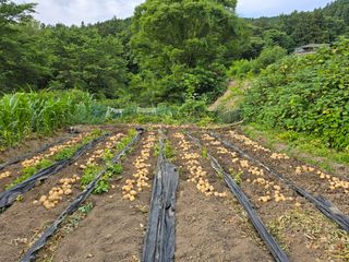 김대기님의 자유주제 · 자유게시판 작성글 사진