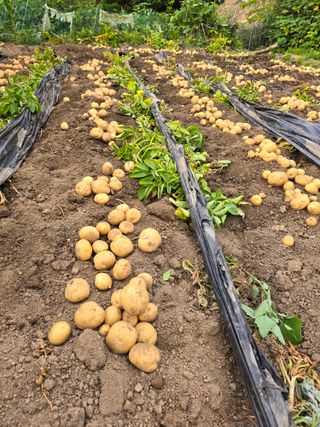 김대기님의 자유주제 · 자유게시판 작성글 사진