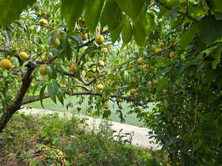 김대기님의 자유주제 · 자유게시판 작성글 사진