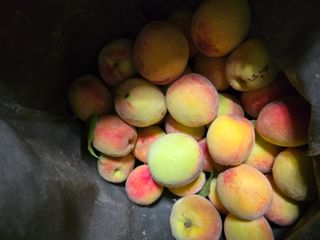 김대기님의 자유주제 · 자유게시판 작성글 사진