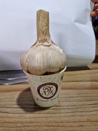 이정자님의 마늘 · 영농일지 작성글 사진