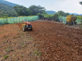 손 무현님의 들깨 · 영농일지 작성글 사진