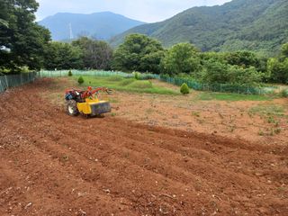 손 무현님의 들깨 · 영농일지 작성글 사진