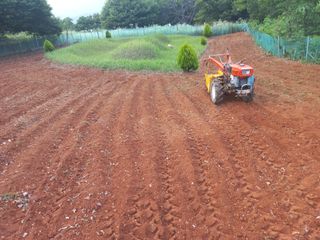 손 무현님의 들깨 · 영농일지 작성글 사진