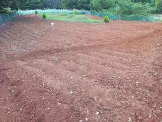 손 무현님의 들깨 · 영농일지 작성글 사진