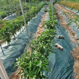 훈&팜님의 작성글 사진