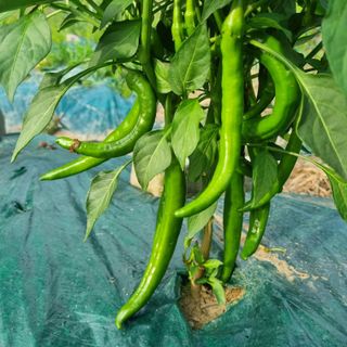 훈&팜님의 작성글 사진