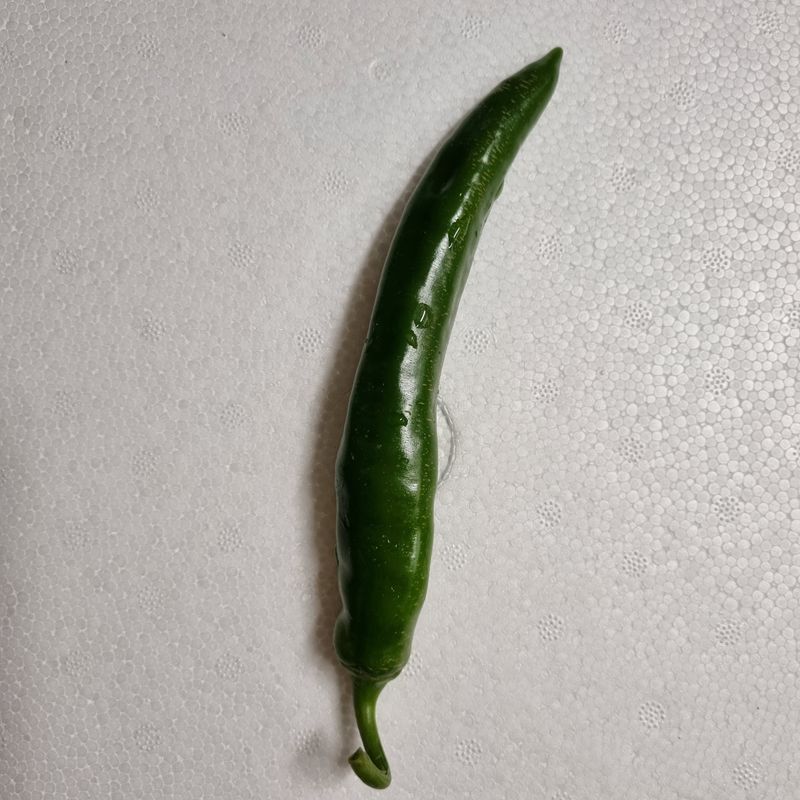 훈&팜님의 장터 판매 상품 [미인고추풋고추1kg] 첨부 사진