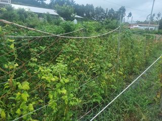 김민철님의 작성글 사진