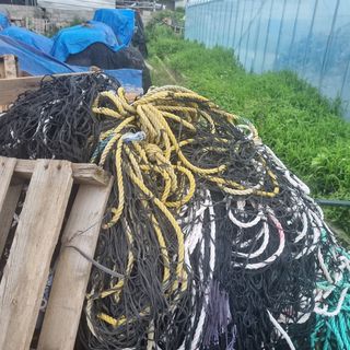 김민철님의 작성글 사진