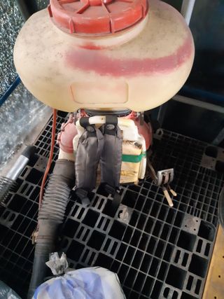 신선농장토마토 메론님의 작성글 사진