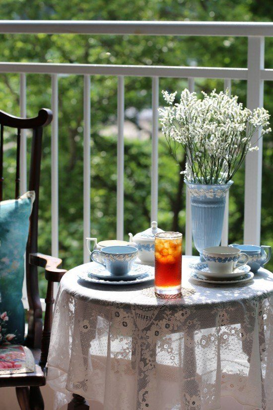 사랑꽃농장님의 장터 판매 상품 [신품종)시넨시스꽃 모종 3종(3개)(월동 가능)] 첨부 사진