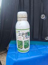 팜모닝 고추·영농일지 게시글 이미지