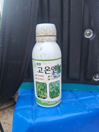 김영길님의 고추 · 영농일지 작성글 사진