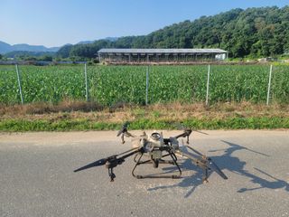 한우홍천 일관사육님의 옥수수 · 영농일지 작성글 사진