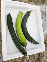 팜모닝 자유주제·자유게시판 게시글 이미지