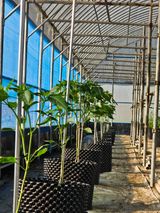 팜모닝 자유주제·자유게시판 게시글 이미지