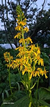 팜모닝 자유주제·자유게시판 게시글 이미지