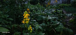 해오름달님의 자유주제 · 자유게시판 작성글 사진