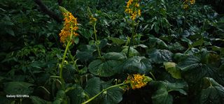 해오름달님의 자유주제 · 자유게시판 작성글 사진