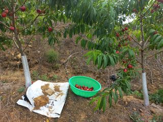 권석봉님의 자유주제 · 자유게시판 작성글 사진